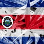 Costa Rica Flag Cannabis