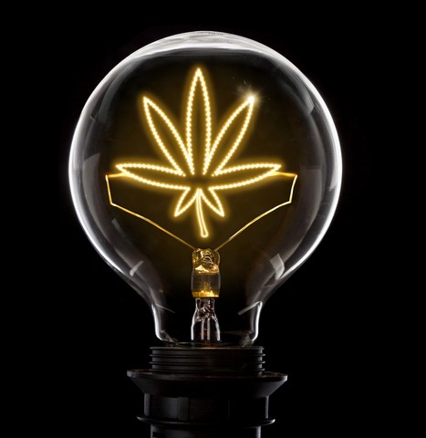Clean,And,Shiny,Lightbulb,With,A,Weed,Leaf,As,A